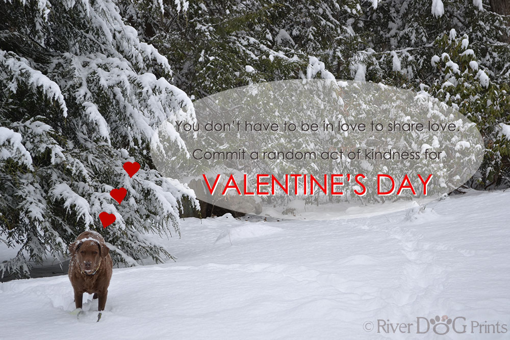 scout-valentine