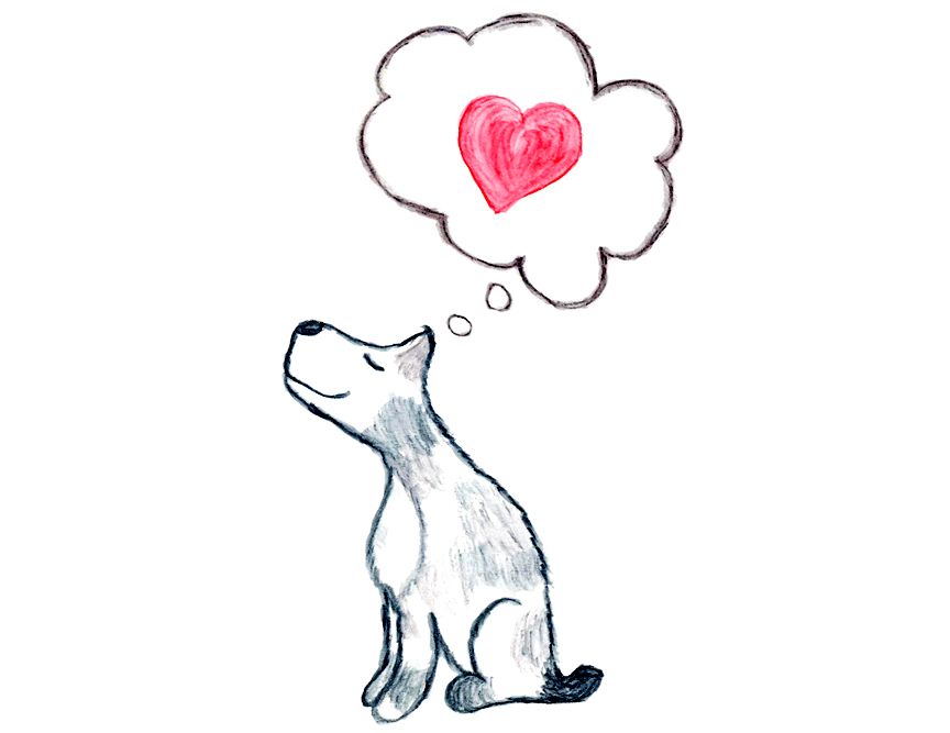 dog-heart
