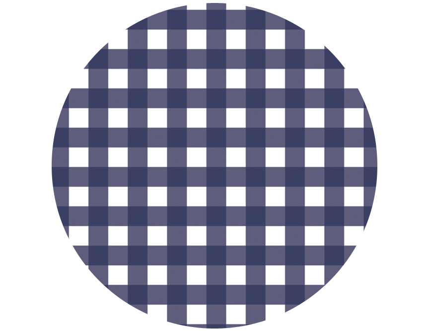gingham-cic