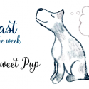 Beast of the Week Number Four